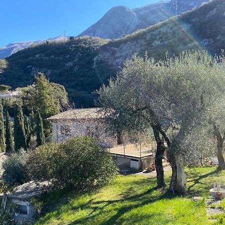 马尔切西内Olive Grove House公寓 外观 照片