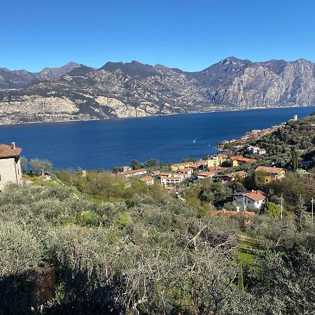 马尔切西内Olive Grove House公寓 外观 照片