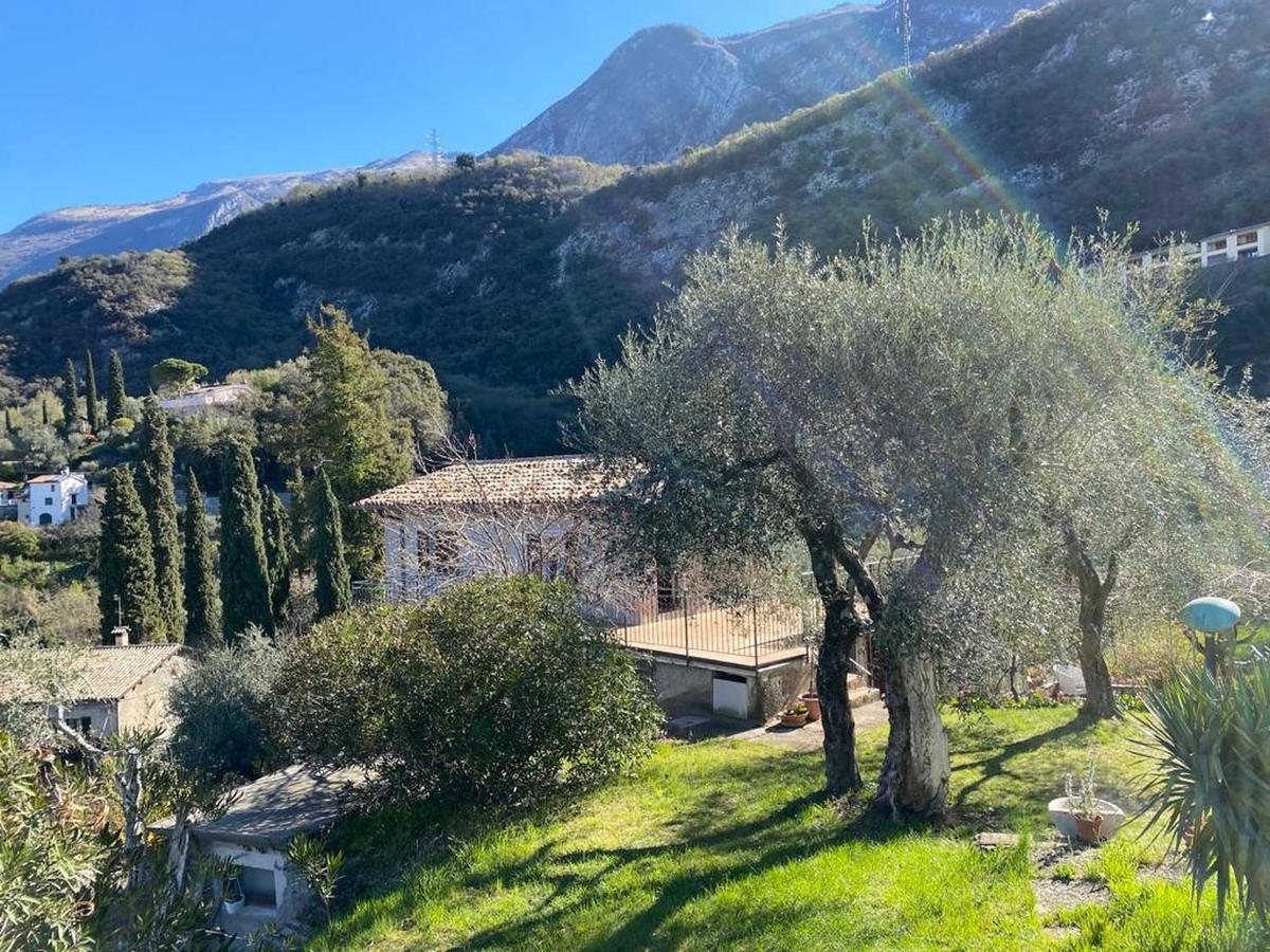 马尔切西内Olive Grove House公寓 外观 照片