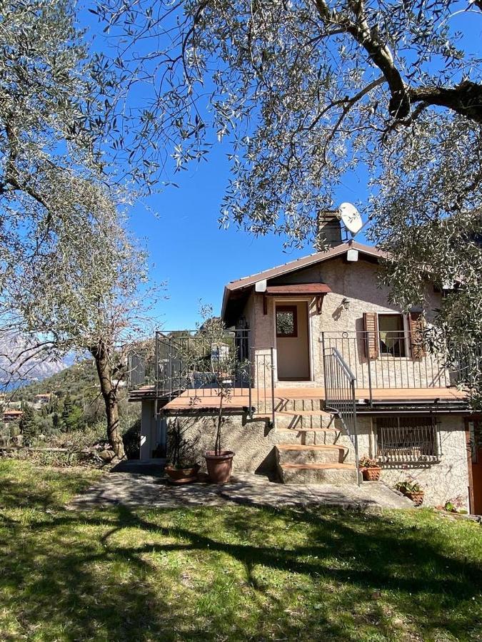 马尔切西内Olive Grove House公寓 外观 照片
