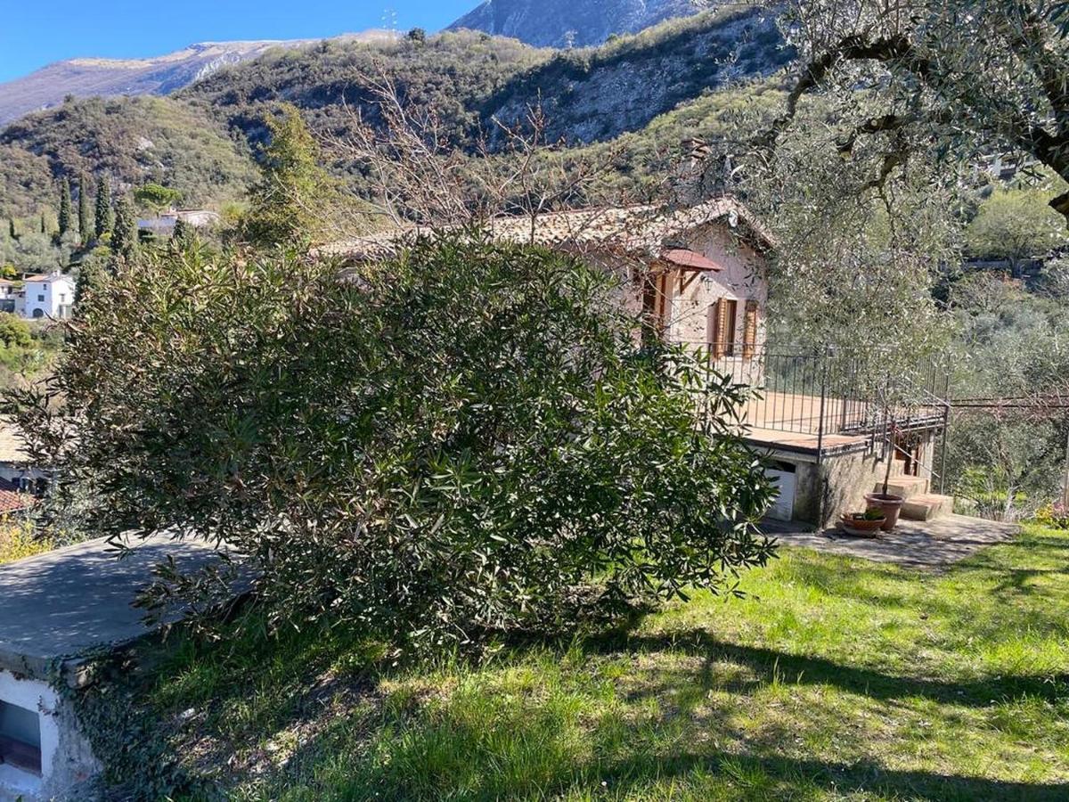 马尔切西内Olive Grove House公寓 外观 照片