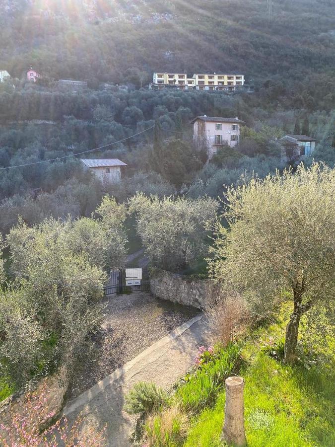 马尔切西内Olive Grove House公寓 外观 照片