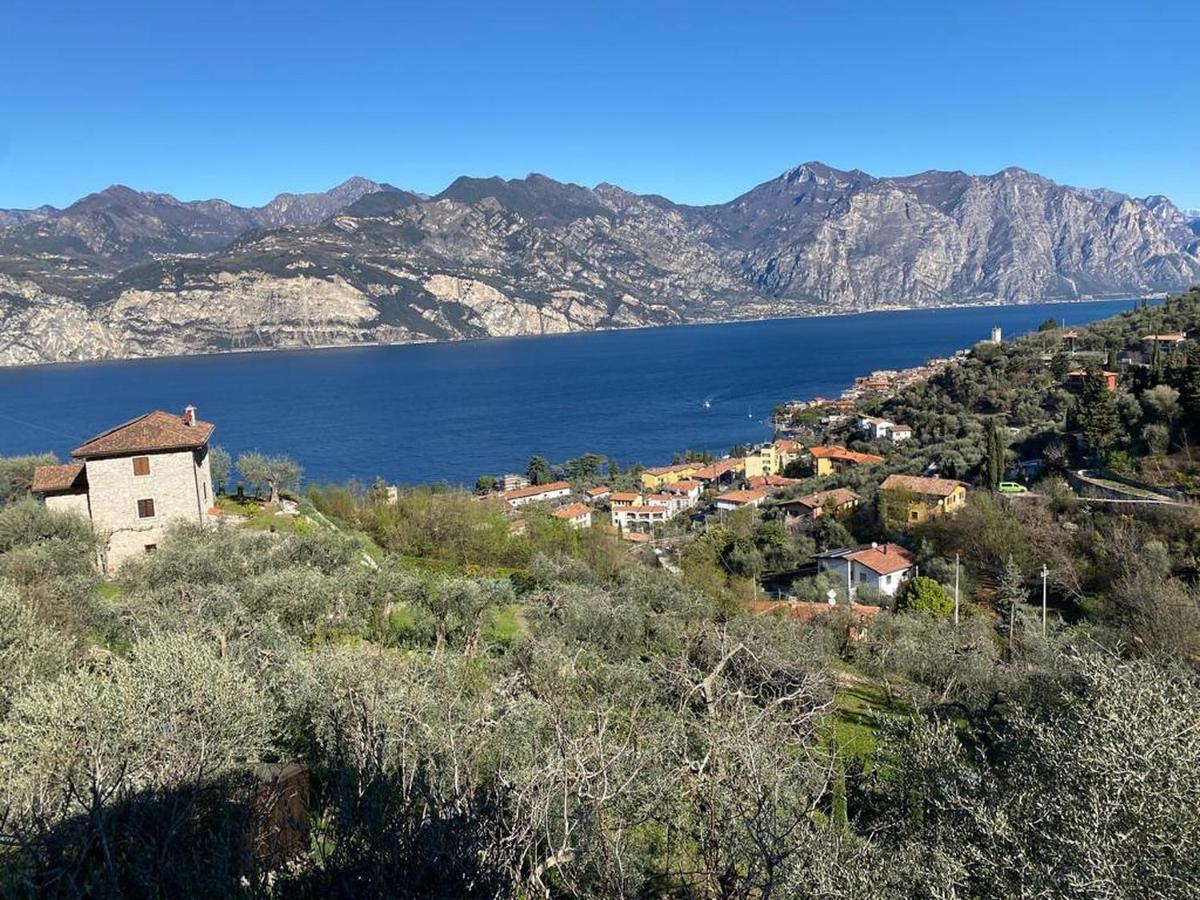 马尔切西内Olive Grove House公寓 外观 照片